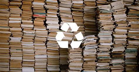 Can You Recycle Old Books: A Journey Through Knowledge and Sustainaibility